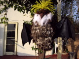 TalaThumb0000.jpg