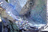 TalaThumb0002.jpg