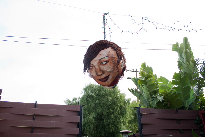 2010_amelia_201002_0367.jpg
