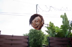 TalaThumb0003.jpg