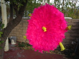 TalaThumb0000.jpg